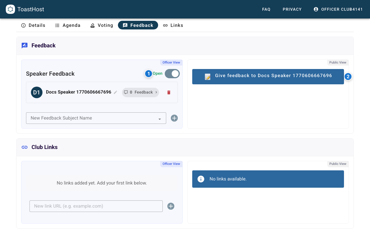 Feedback session open with public feedback button before a submission